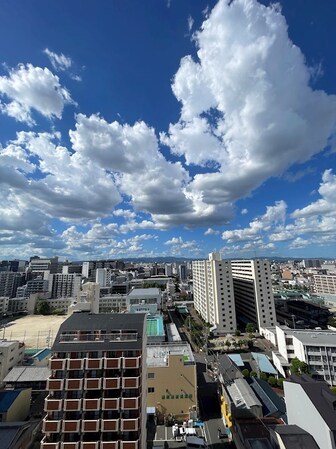 崇禅寺駅 徒歩7分 10階の物件内観写真